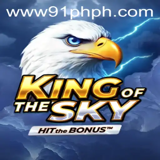 A Comprehensive Guide to KingOfTheSky: The Ultimate Aerial Strategy Game